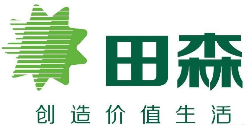 山西田森集团简介山西田森集团是以山西田森超市有限公司为母公司，下设晋中田森房地产有限公司、田森全盛酒店有限公司、田森广告有限公司、山西田森集团物流配送有限公司、四川田森房地产开发有限公司多元化发展的现代化民营企业。2001年田森集团与世纪同行，以商业为主业，地产为主力。产业涉及商