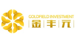 北京金丰元投资管理有限公司