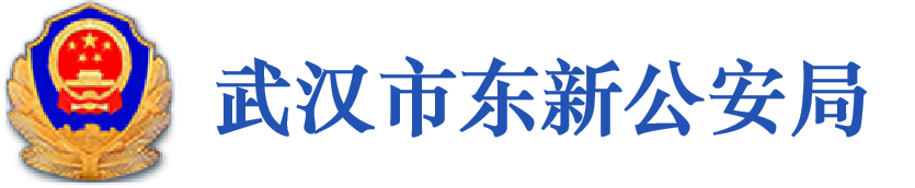 武汉市东新公安局